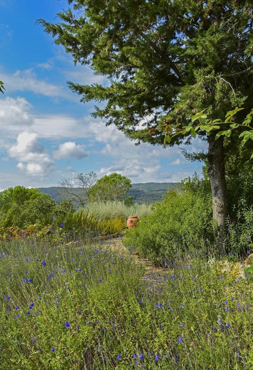 Il Verreno Bucine Εξωτερικό φωτογραφία